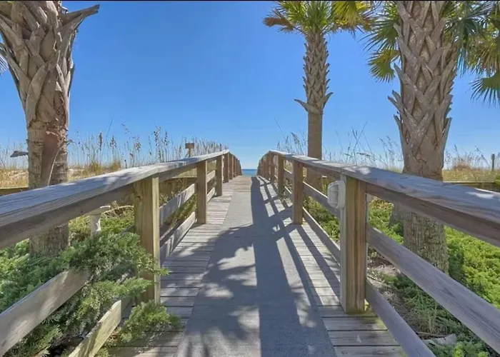 Palm 15b Gulf Shores
