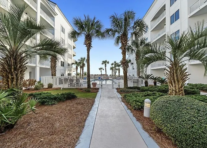 Palm 15b * Gulf Shores